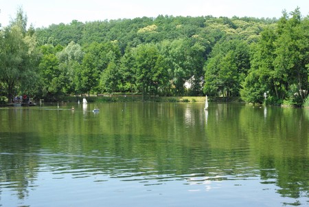 bassin de la muette