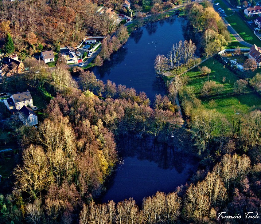 bassin de la muette