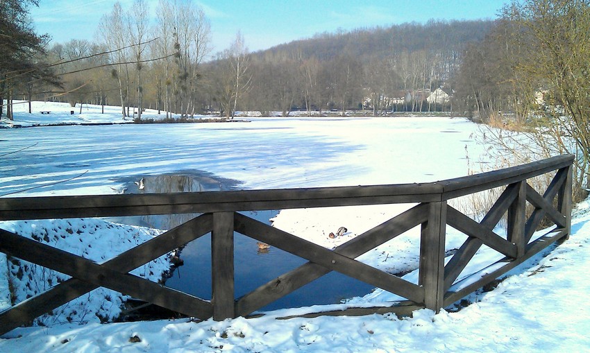 bassin de la muette